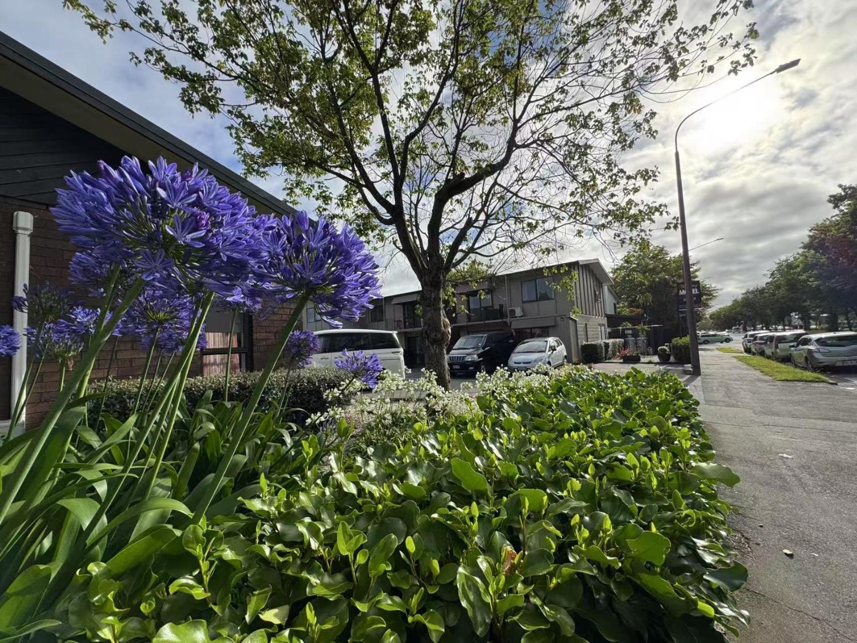 Abbey Motor Lodge Christchurch Esterno foto